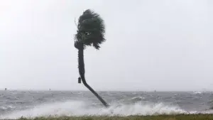 Vientos de Michael llegan a 240 km por hora antes de tocar tierra en Florida