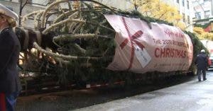 Llega a su destino emblemático árbol de Navidad del Rockefeller Center