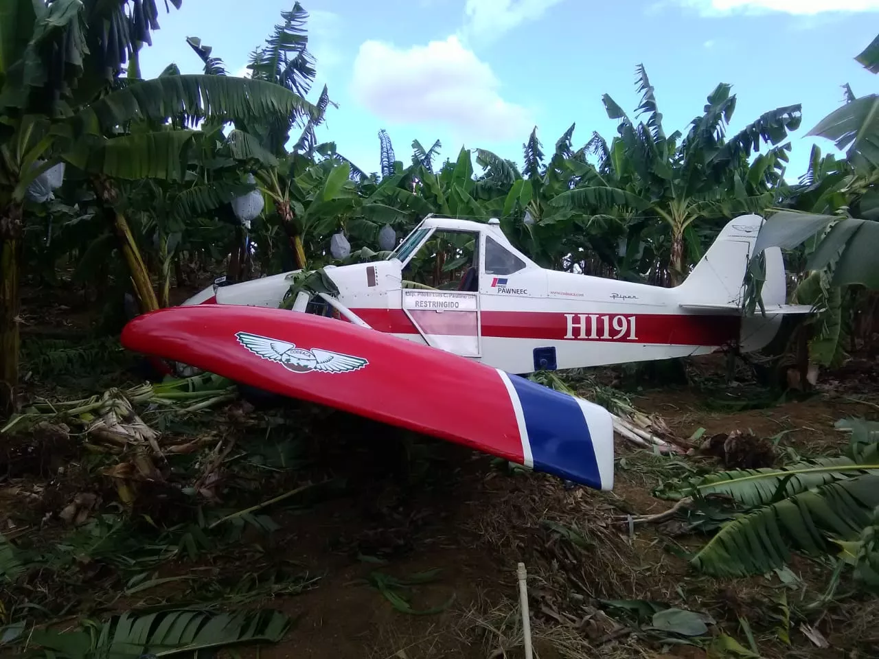 Cae avioneta en Esperanza, piloto sufre heridas leves