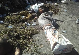 En Haití hallan 10 cadáveres entre la basura en un barrio cercano a Parlamento