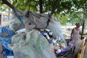 Área verde de la San Vicente Paúl está arrabalizada