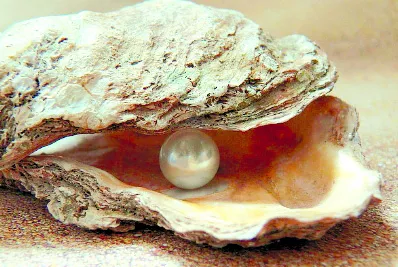 20/12/2018 ELDIA_JUEVES_201218_ Cartelera26