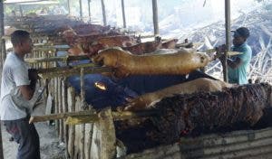 Cerdos en puya, compras y éxodo pasajeros matizan inicio Nochebuena