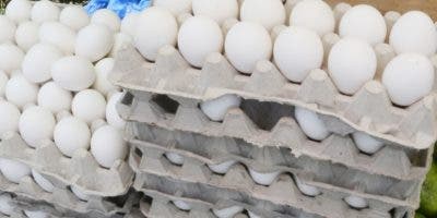 Procompetencia investiga mercado de producción y comercialización de huevos