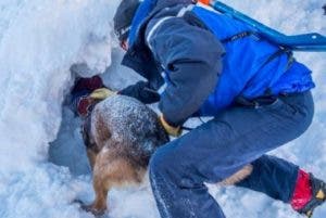 Niño sobrevive 1 hora sepultado tras avalancha