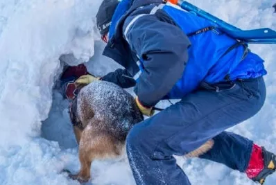 Niño sobrevive 1 hora sepultado tras avalancha