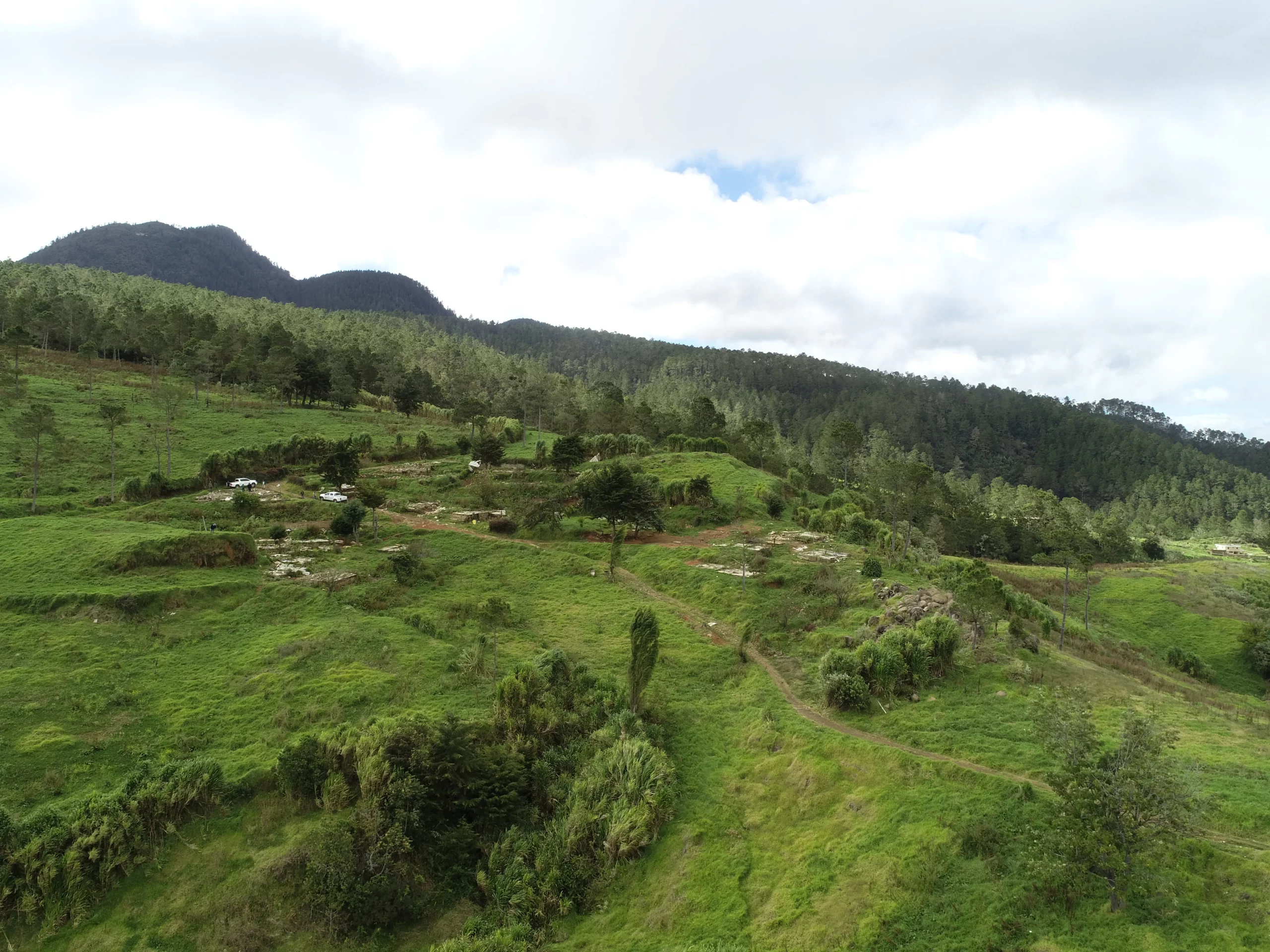 Medio Ambiente dice tiene el control de   Valle Nuevo