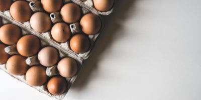 ProCompetencia inicia investigación en el mercado de huevos de gallina