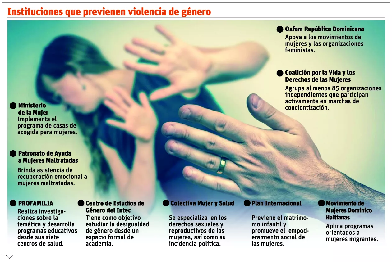 Instituciones feministas lideran combate a la violencia de género