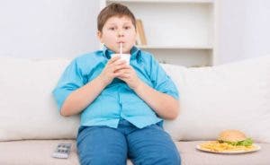 Preparan Ley de Obesidad para apostar a prevención y coberturas de ARS