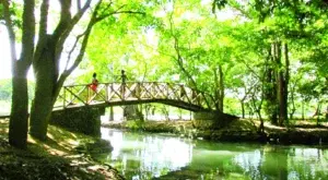 El Cachón de la Rubia sería Jardín Botánico SDE