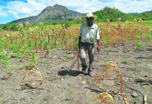 Cambio climático deja pérdidas por más de 74.8 millones de pesos