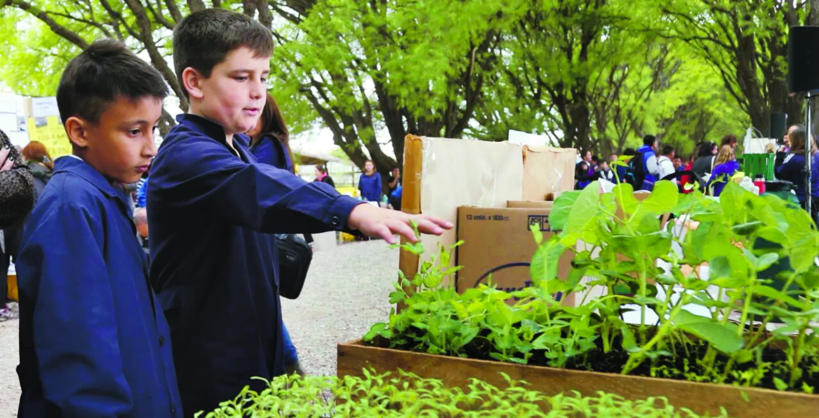 27/02/2019 ELDIA_MIERCOLES_270219_ Vida & Estilos19