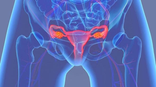 Los obstáculos que pone el cuerpo femenino para descartar a los espermatozoides más débiles