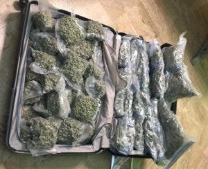 Ocupan 52 paquetes de marihuana en una maleta abandonada en Aeropuerto de Punta Cana