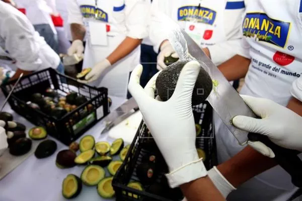 México disputa el “Aguacate Bowl” con Perú, Chile y Colombia