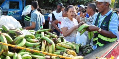 Ministro de Agricultura llama población a comer plátanos ante sobreproducción