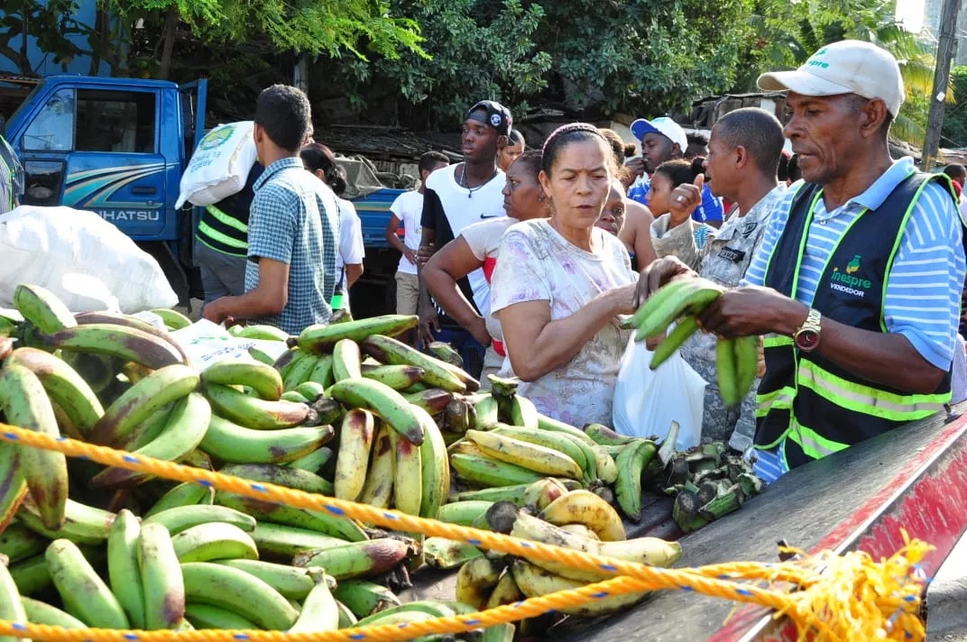 Ministro de Agricultura llama población a comer plátanos ante sobreproducción