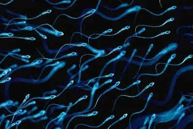 Congelan semen por 50 años y aun sigue útil