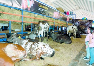 Feria Agropecuaria muestra avances área