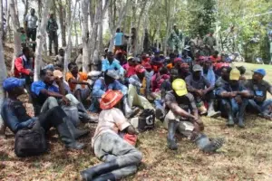 Apresan 69 haitianos indocumentados en Parque Nacional Los Haitises