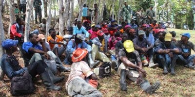 Apresan 69 haitianos indocumentados en Parque Nacional Los Haitises