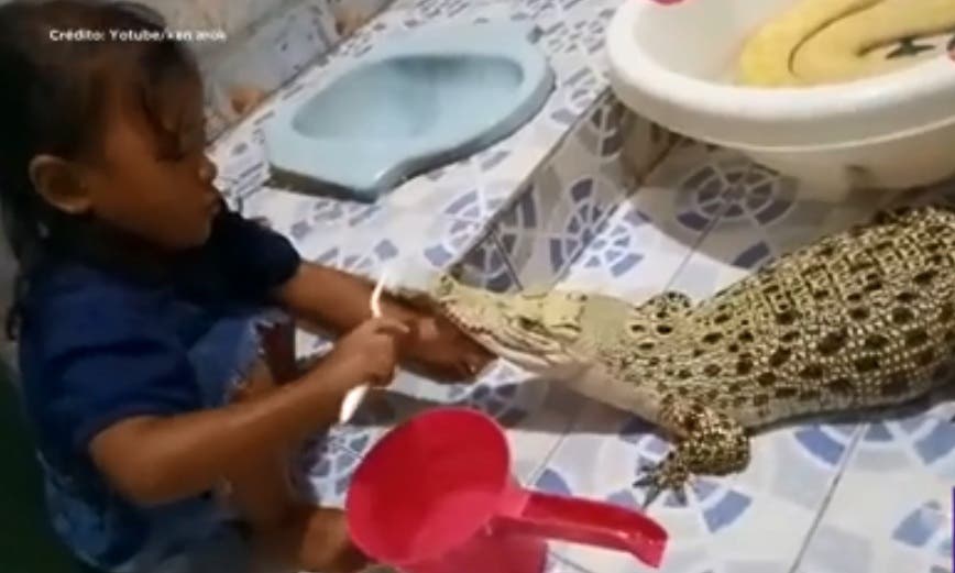 El video viral de una niña que lava los dientes a su cocodrilo