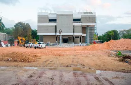 Cultura aclara árboles derribados en Plaza de la Cultura afectaban a los museos