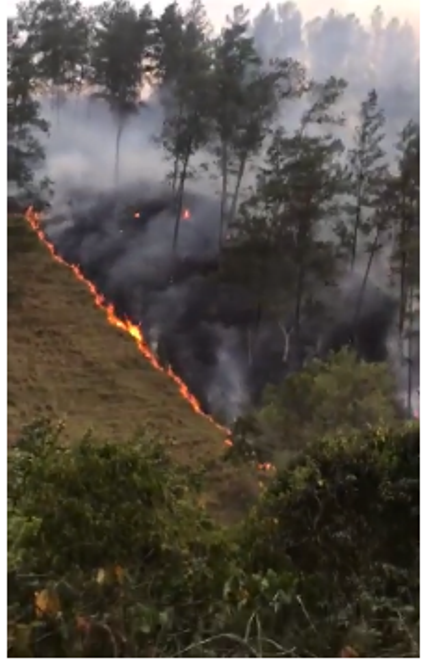 Medio Ambiente: «Hay pruebas de que fue intencional incendio en Loma de Guaigüí, La Vega»