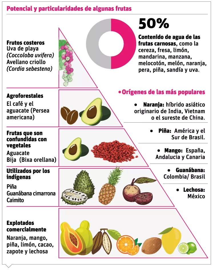 Mayoría de los frutos comestibles en República Dominicana son especies introducidas