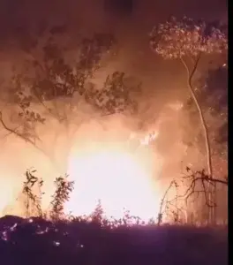 Video: Aún sin controlar incendio forestal en La Vega