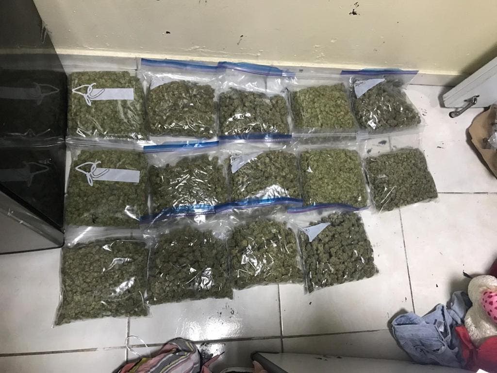 DNCD decomisa 32 paquetes de marihuana en Puerto de Haina