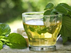 Los asombrosos beneficios de la menta incluyen una mejor digestión, pérdida de peso, alivio de las náuseas, depresión, fatiga y dolor de cabeza entre otros. 