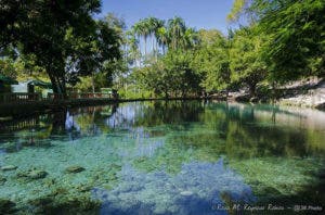 22 de marzo: Día Mundial del Agua