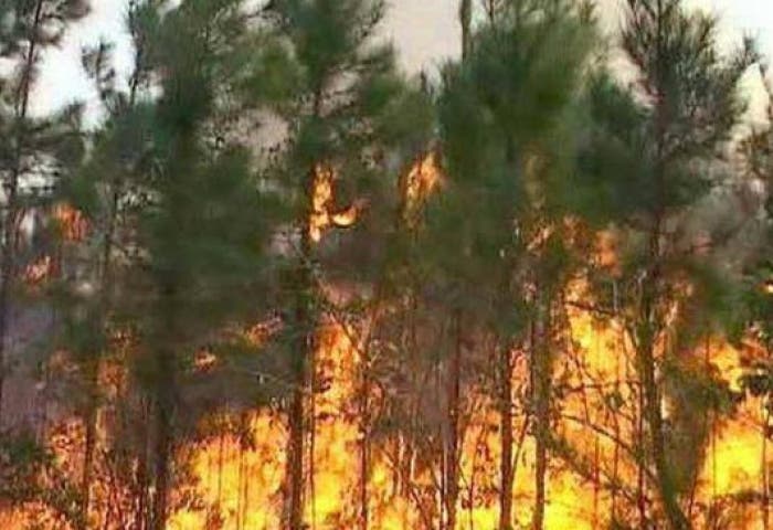 Cuba registra un incendio forestal en zona turística de Viñales