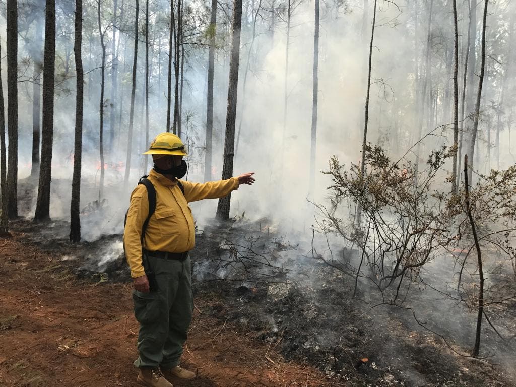 Autoridades afirman incendio en Sierra de Bahoruco está controlado un 90%