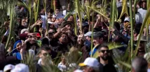 Canciones, bailes y hojas de palma adornaron el Domingo de Ramos en Jerusalén