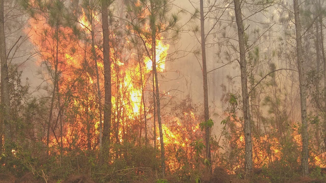 Aún sin controlar incendio forestal en la Sierra de Bahoruco