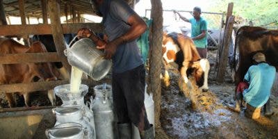 Ganaderos exigen ajuste al precio de la leche