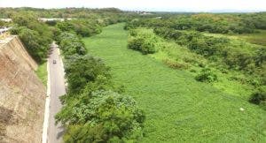 Lilas arropan río Isabela por la contaminación