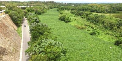 Lilas arropan río Isabela por la contaminación