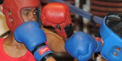 Finales  del Torneo de Boxeo para Novatos  inician hoy