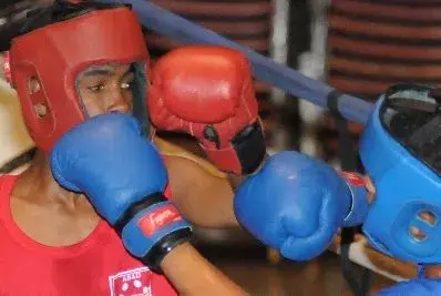 Finales  del Torneo de Boxeo para Novatos  inician hoy