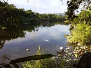 Deploran niveles de contaminación del río San Marcos en Puerto Plata