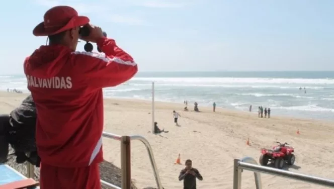 dominicanos-nyc-podrian-beneficiarse-con-trabajo-durante-el-verano