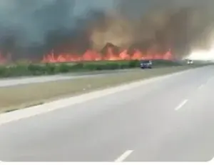 Video: Incendio en cañaveral afecta visibilidad de conductores en autopista del Este