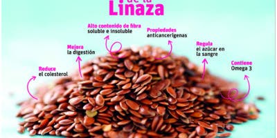 La linaza es valorada por sus componentes anticancerígenos