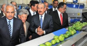 Productores de mango podrán exportarlo   a EU