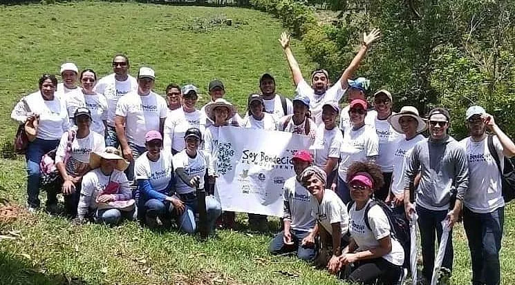 Movimiento siembra caobas San Cristóbal