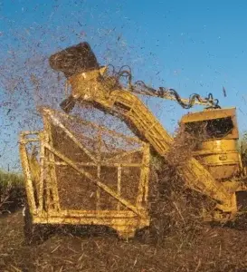 Ingenio Central Romana  obtiene 352,116 toneladas de azúcar